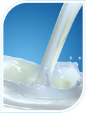 Dairy Industry